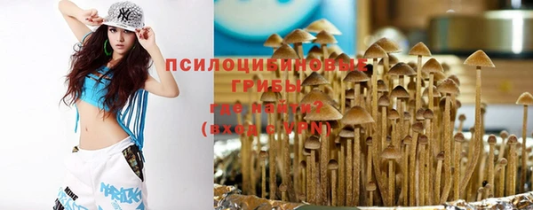тгк Корсаков