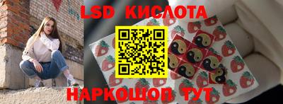гидропоника Краснознаменск