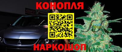 гидропоника Краснознаменск