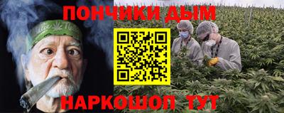 гидропоника Краснознаменск