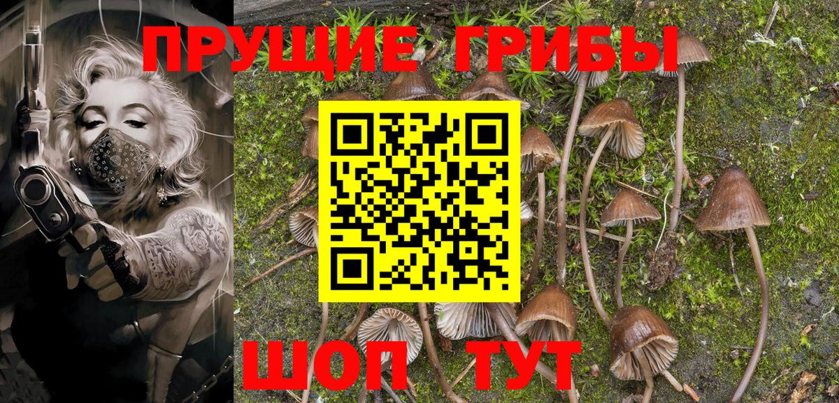 Галлюциногенные грибы Magic Shrooms  наркошоп  Печора  Вход с VPN 