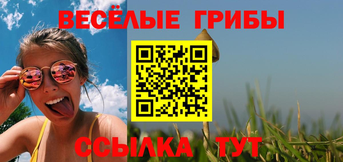 Псилоцибиновые грибы прущие грибы Печора